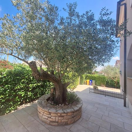 Apartment And Room Marlen Rovinjsko Selo Εξωτερικό φωτογραφία