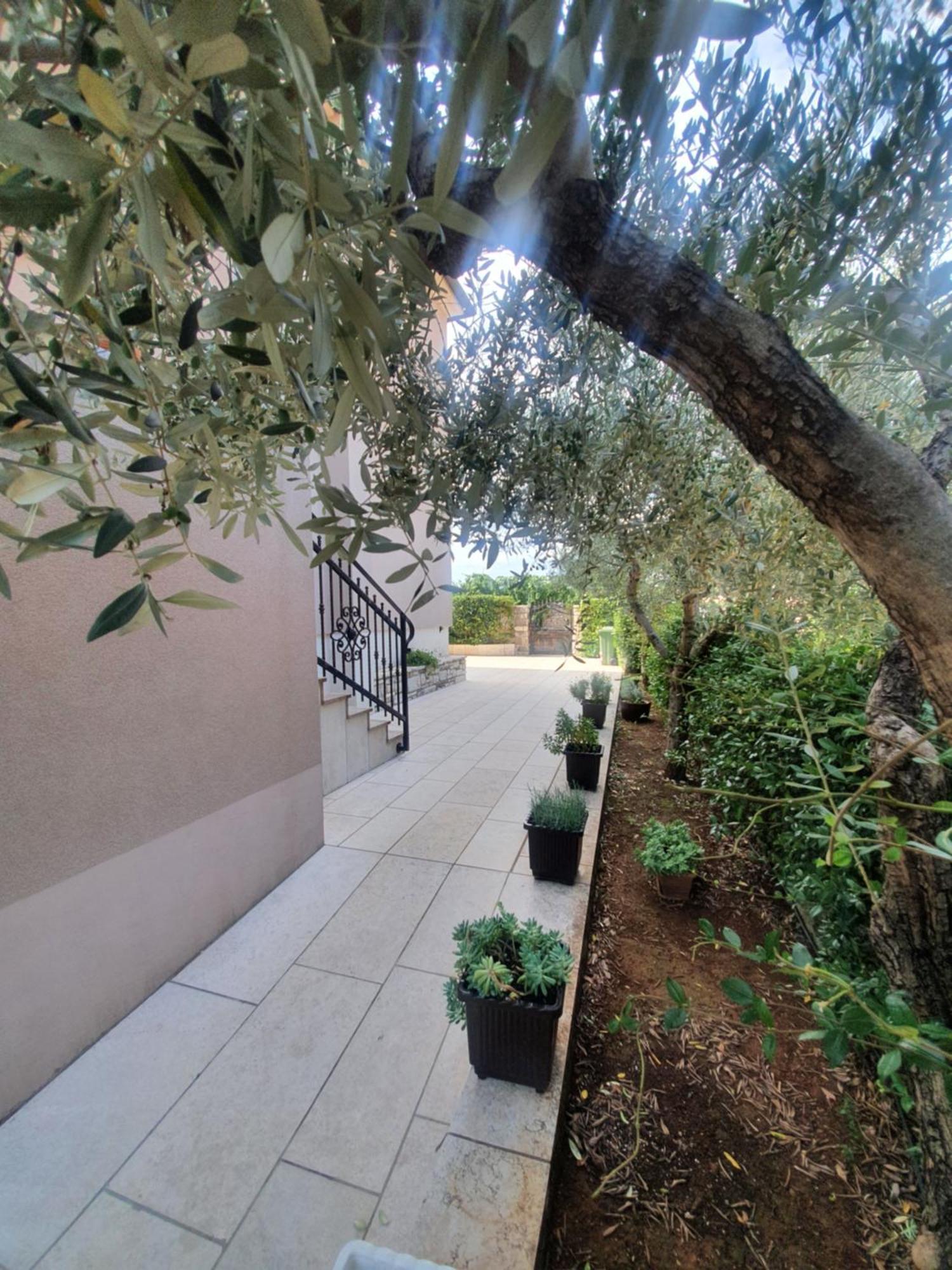 Apartment And Room Marlen Rovinjsko Selo Εξωτερικό φωτογραφία