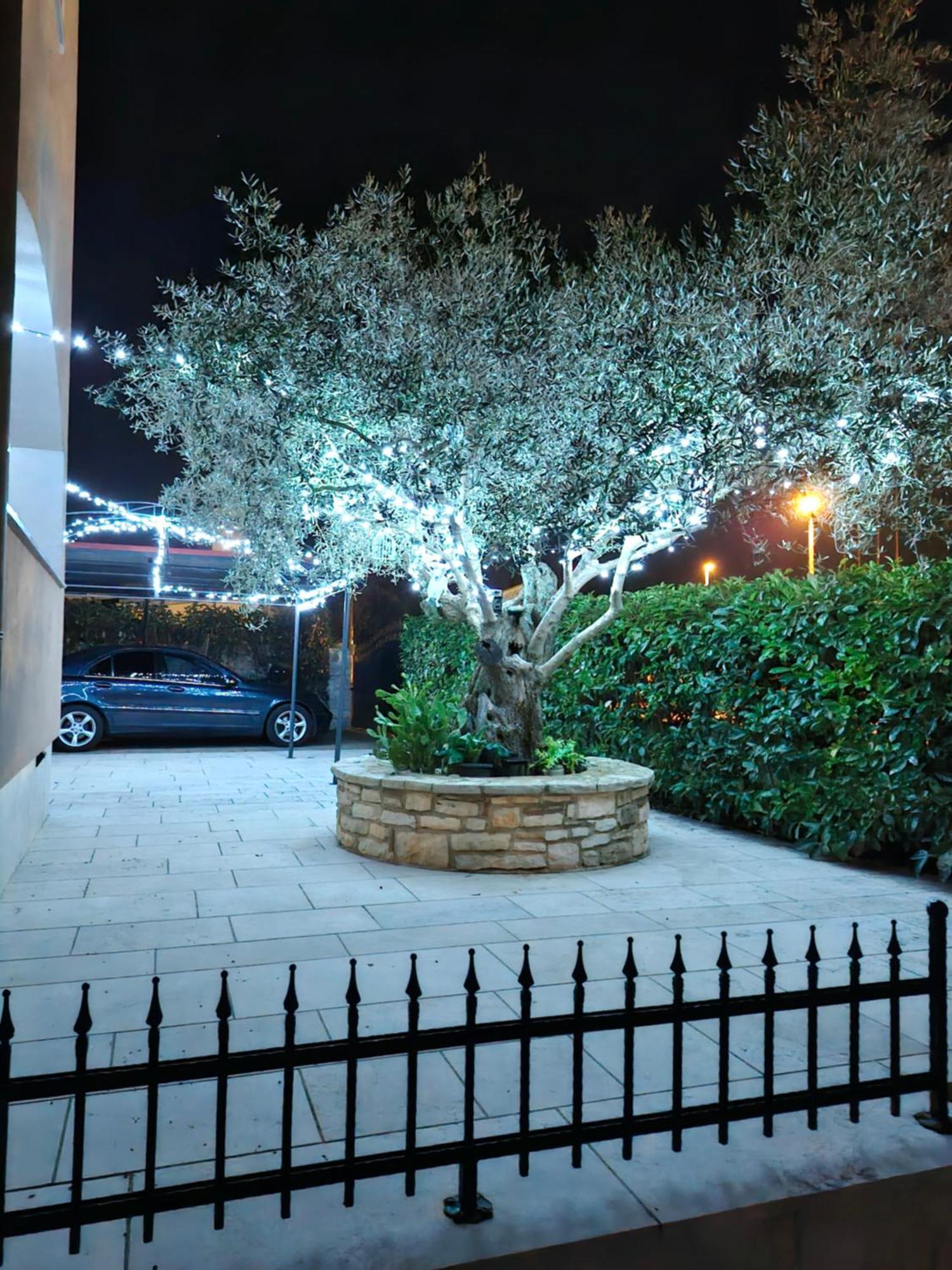 Apartment And Room Marlen Rovinjsko Selo Εξωτερικό φωτογραφία